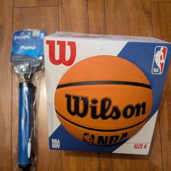 Wilson Basketball And Pump