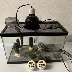 10 Gallon Glass Reptile Terrarium Setup