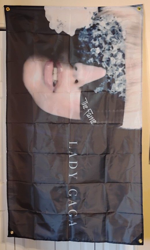 Lady Gaga 3 Ft x 5 Ft Banner New