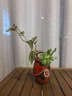 Hand-Painted Ceramic Pot with Live Plants