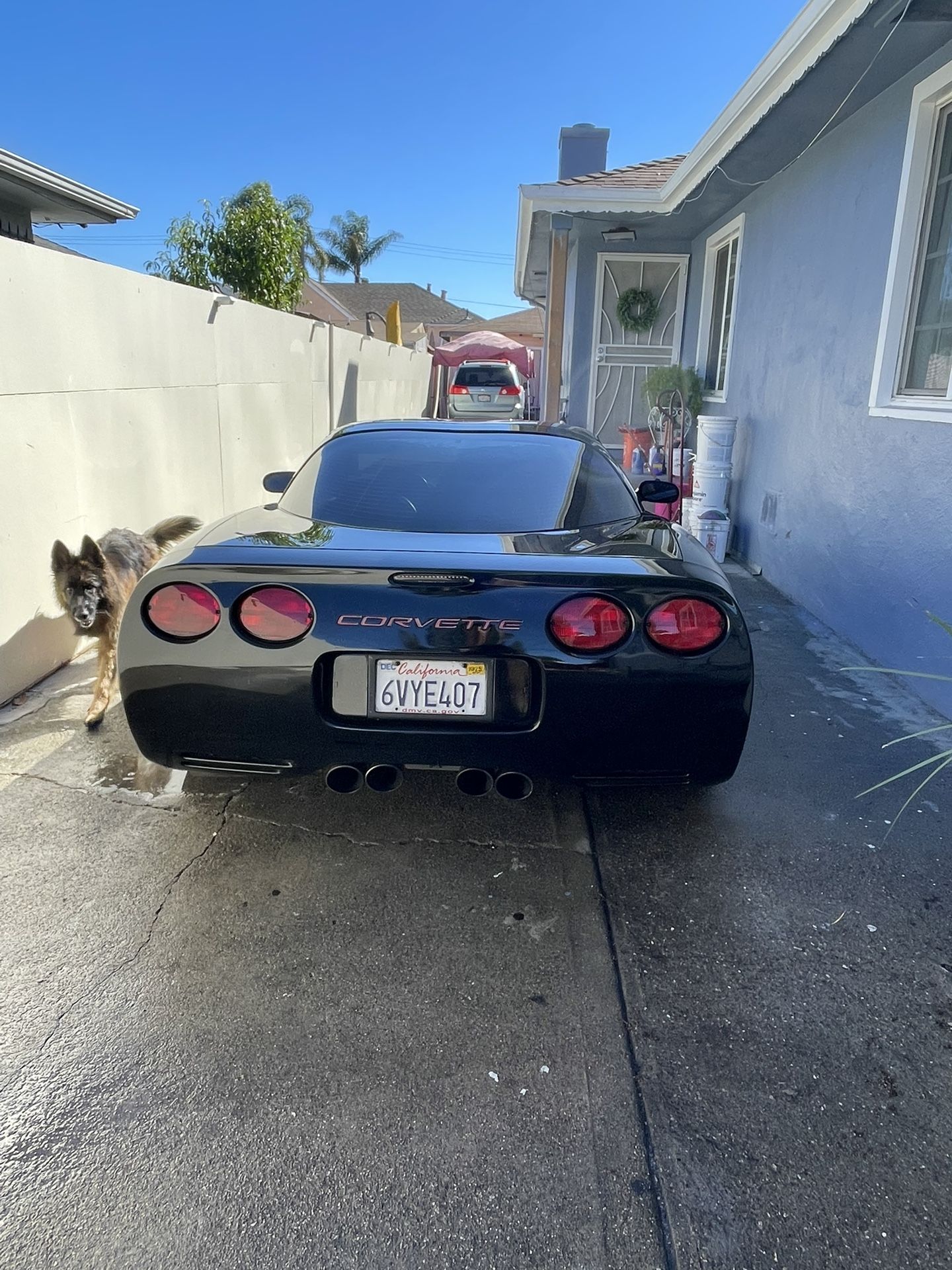 1999 Chevrolet Corvette