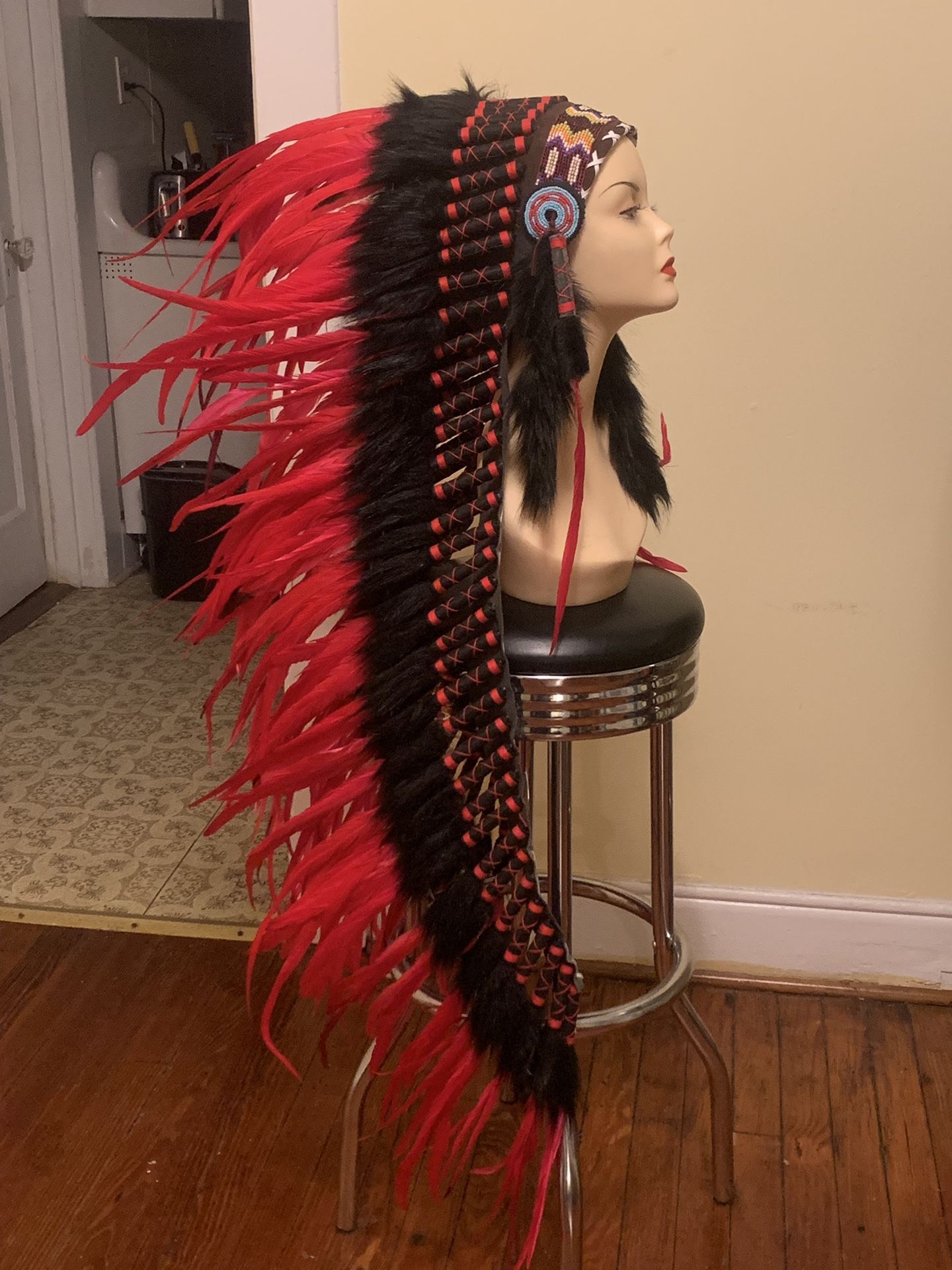 Beautiful long feathered headdress