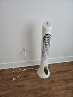 Standing Fan