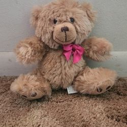 Bear Stuffed Animal 