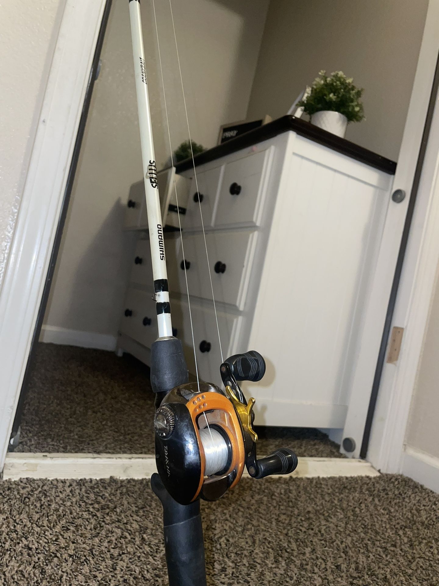 Shimano X Daiwa Rod/Baitcaster Combo