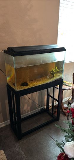 29 gallon aquarium, metal stand, lighted hood