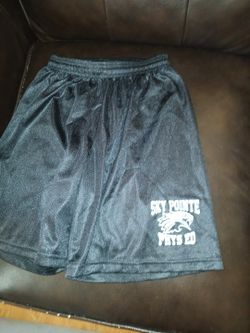Pe Shorts for somerset academy