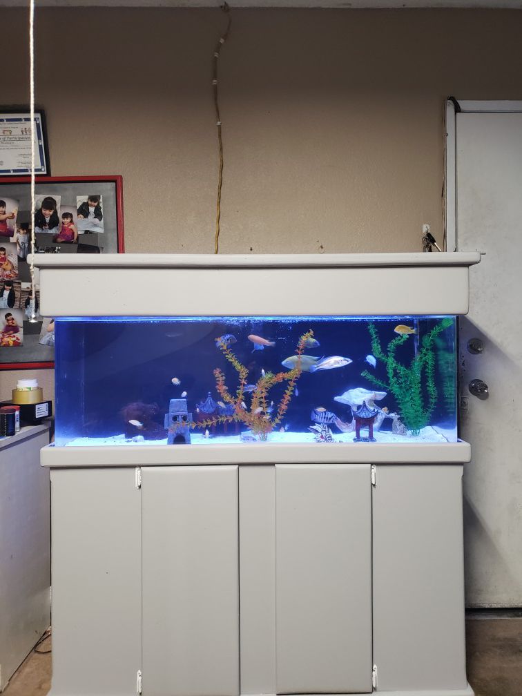 65Gallon TRUVU acrylic aquarium