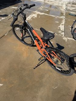 Nishiki kids Bike