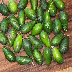 Avocados