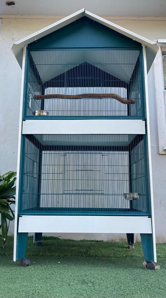 BIRD CAGE