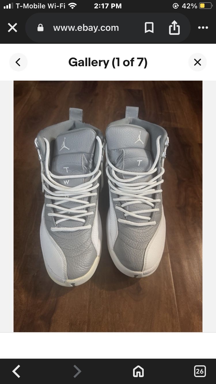 Stealth Jordan 12’s