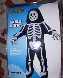 Skeleton bones