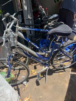 Bicycle Giant