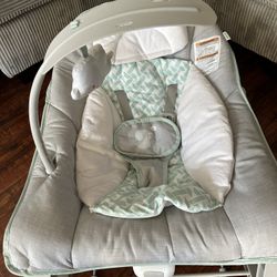 Baby Bouncer