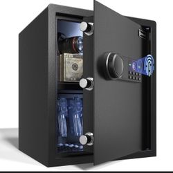 Biometric safe Box