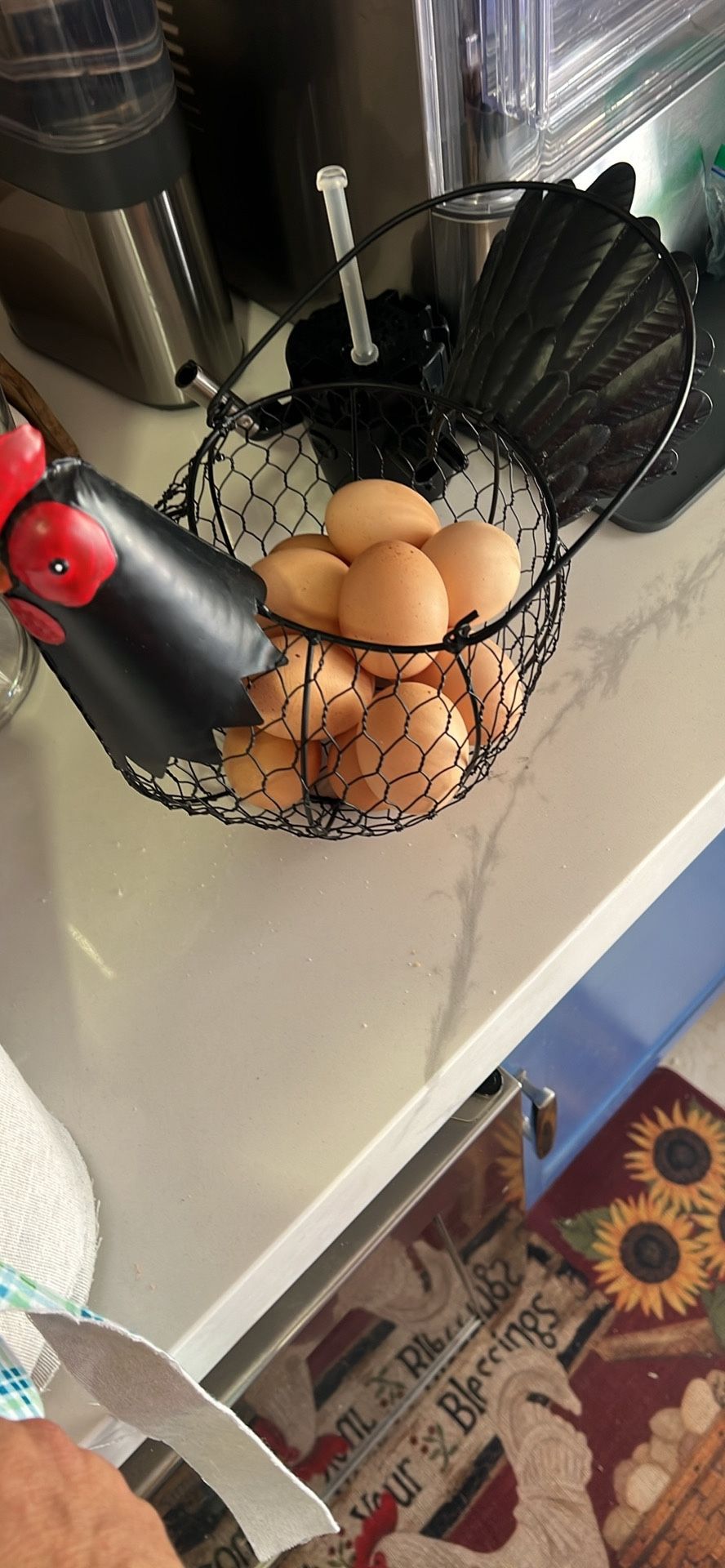 Fresh Farm Eggs