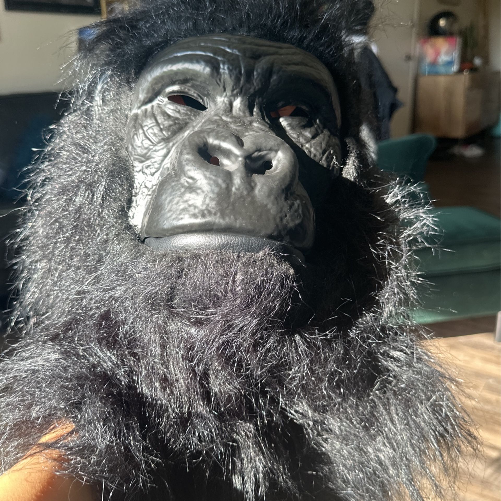 Halloween Costume Gorilla 