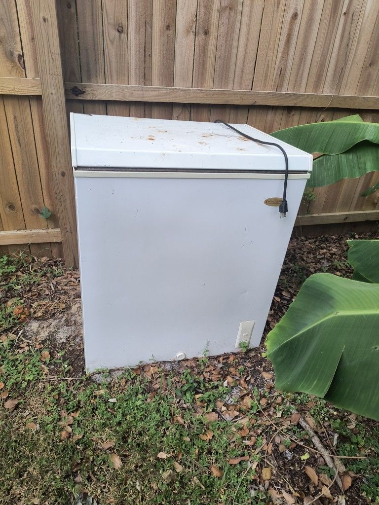 Upright Freezer 