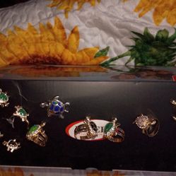 Aretes Anillos 