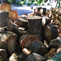 Oak Fire Wood, Season,Cut And Split $250 per cord $125 1/2 Cord