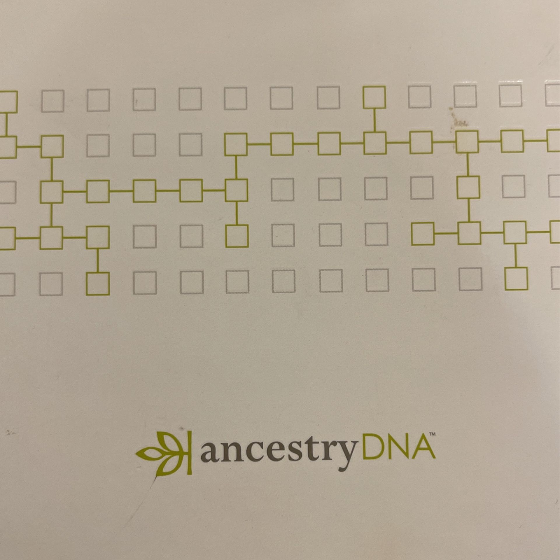 Ancestry DNA Kit