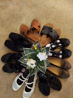 Women's Size 9 M Shoes