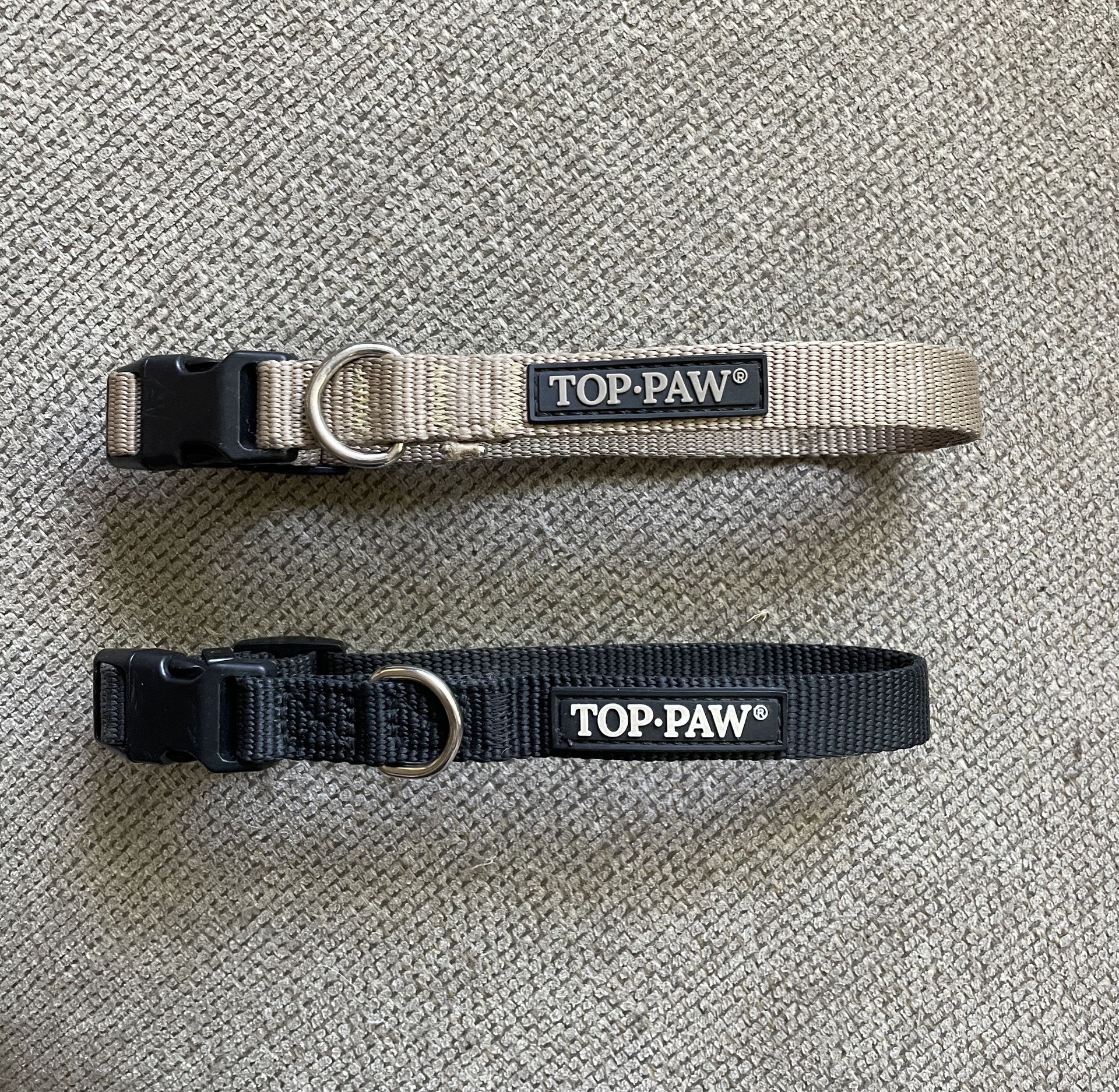 Dog Collar (s)