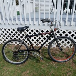 Jamis boss large frame cruiser bike 5 speed 26-in Wheels new chain ready to ride