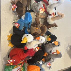Beanie Babies – Bird Collection Lot