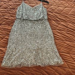 Adrianna Papell Dress - Like New