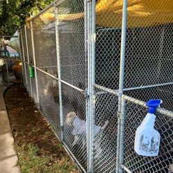 Dog Kennels $5000 OBO 