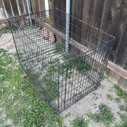 Dog Cage