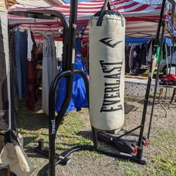 Everlast Punching Bag And Stand 