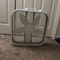 Fan