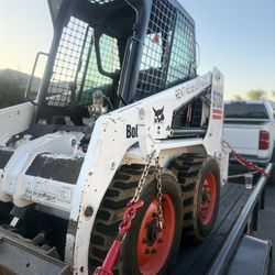Bobcat