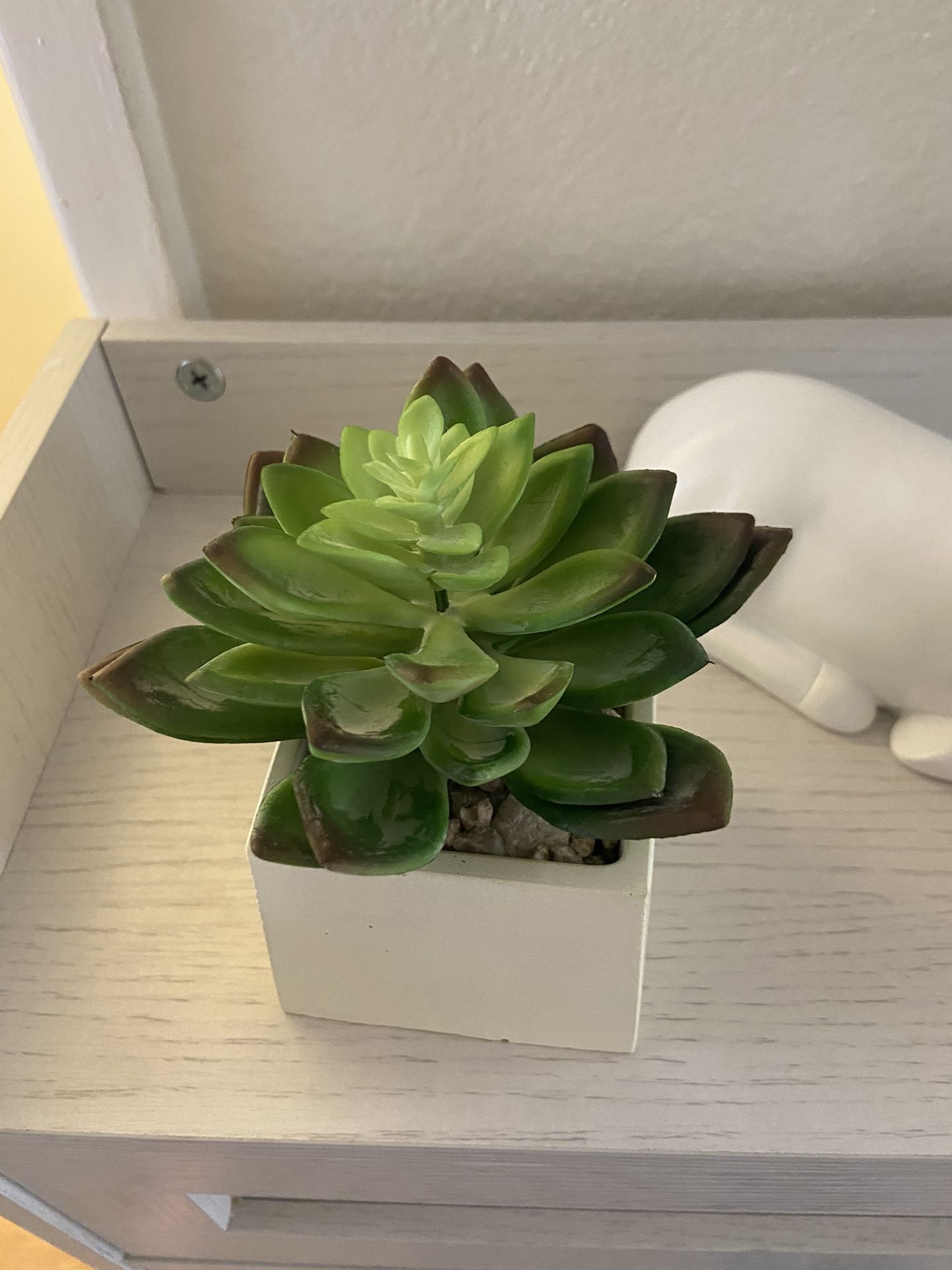 Succulents Plants Artificial in Pots