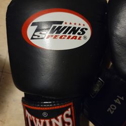 Twins Special Boxing Gloves