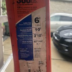 WERNER Fiberglass Ladder 6 Foot