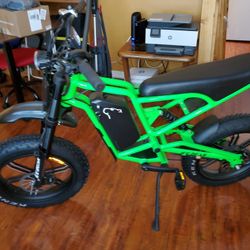 Two Ice Bear Electic Bikes