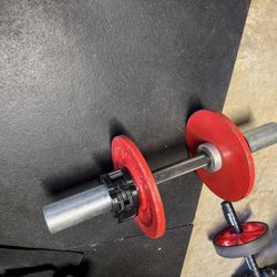 Loadable Dumbbells With 5lb Weights