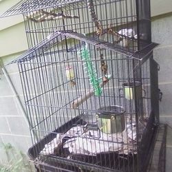 Bird Cage