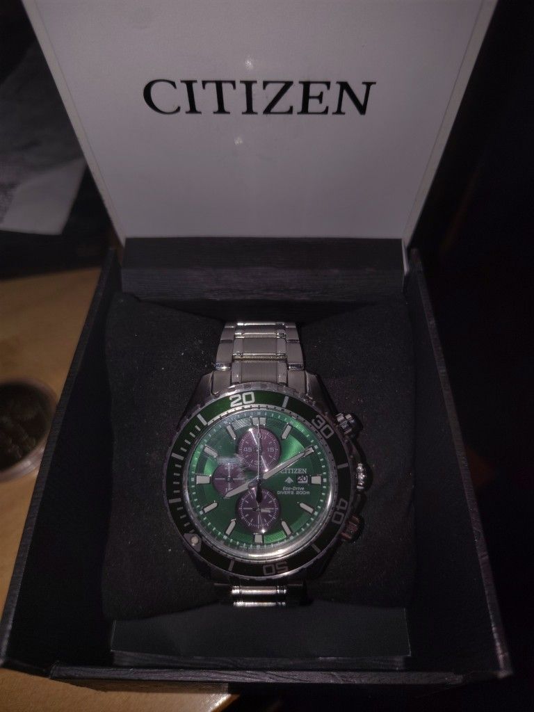 Citizen Eco-Drive (Divers Watch 200 meter)