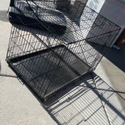 Dog Kennel 