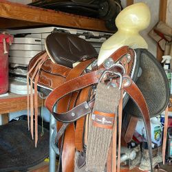 Montura /sadlle. Cola De Pato 