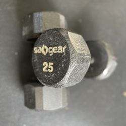 25 Dumbbell’s 