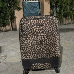 Small Luggage