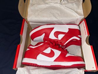Nike Dunk Low (PSE) GREAT CONDITION‼️ CHECK OUT MY OTHER LISTINGS‼️