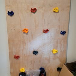 Rock Climbing Wall With Extra Holds