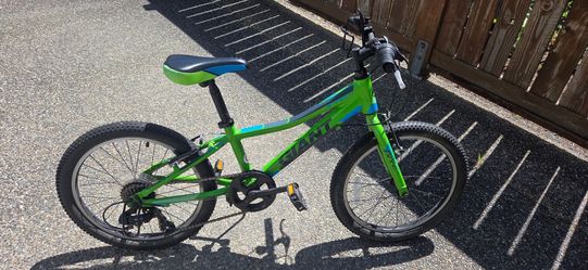 Youth Giant Bike - 20" Wheels